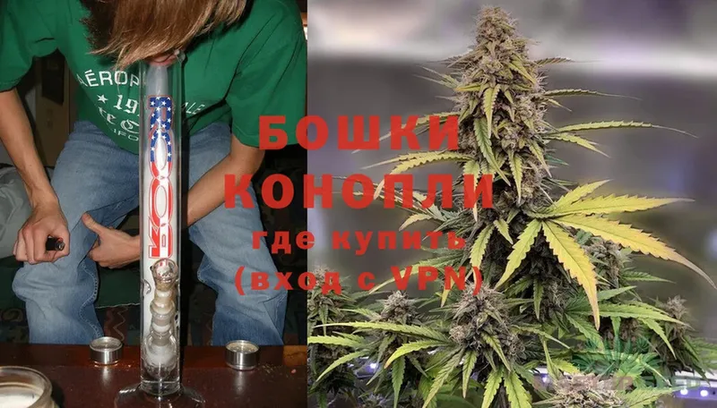 Конопля SATIVA & INDICA  mega как зайти  Гудермес  купить закладку 